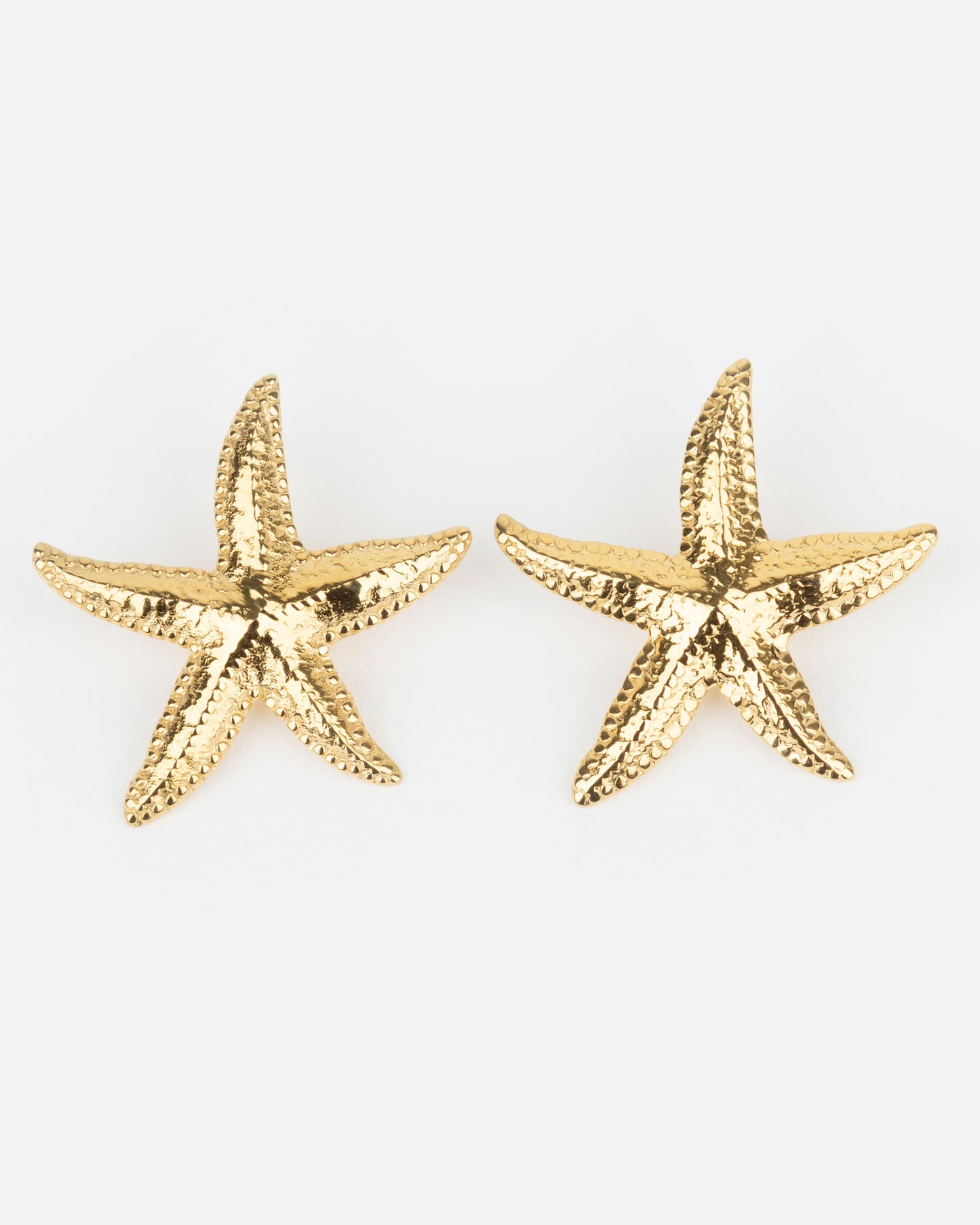 DUO ETOILE DE MER