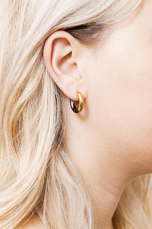 Boucles d'oreilles #22